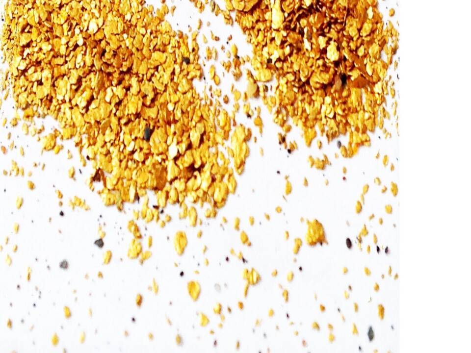 Natural gold nuggets and grains representing the raw material used to create 100% authentic Welsh gold jewellery.