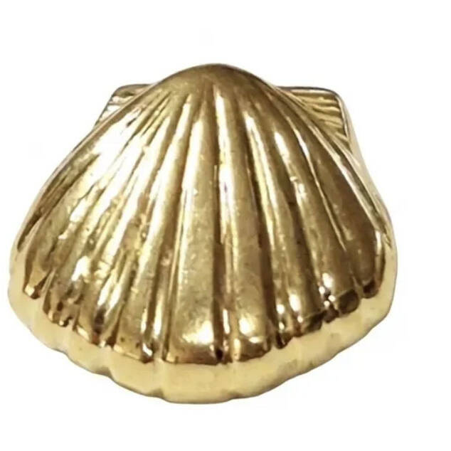 Camino Scallop 1